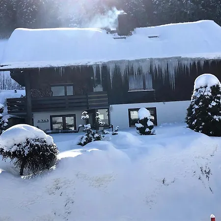 Haus Blattert Апартаменты Фельдберг