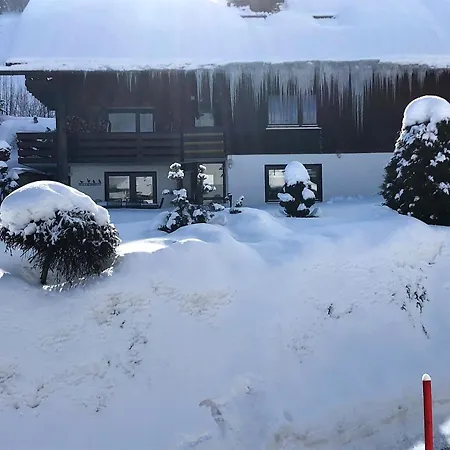 Haus Blattert Апартаменты *